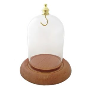 Pocket watch glass display dome cloche oak wood base and brass gold hook 3"x4", front view.