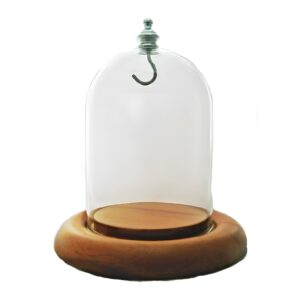 Pocket watch glass display dome cloche oak wood base and silver metal hook 3"x4", front view.